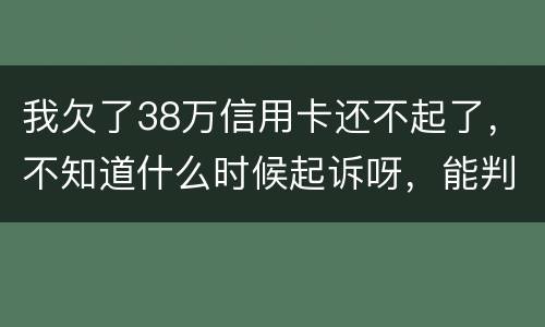 我欠了38万信用卡还不起了，不知道什么时候起诉呀，能判刑几年
