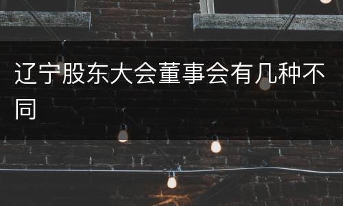 辽宁股东大会董事会有几种不同