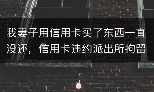 我妻子用信用卡买了东西一直没还，信用卡违约派出所拘留多久