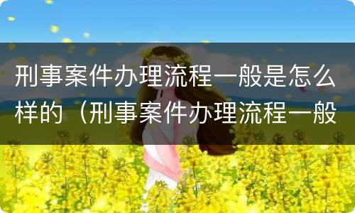 刑事案件办理流程一般是怎么样的（刑事案件办理流程一般是怎么样的呢）