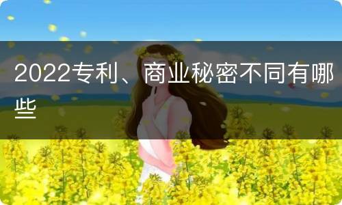 2022专利、商业秘密不同有哪些