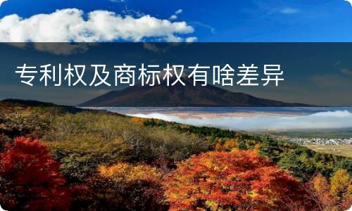 专利权及商标权有啥差异