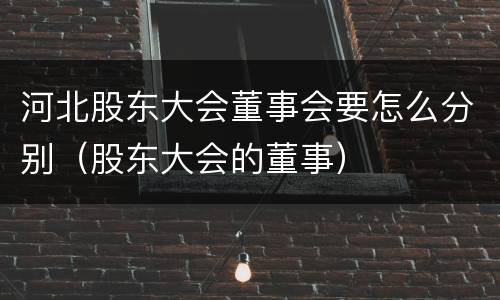 河北股东大会董事会要怎么分别（股东大会的董事）