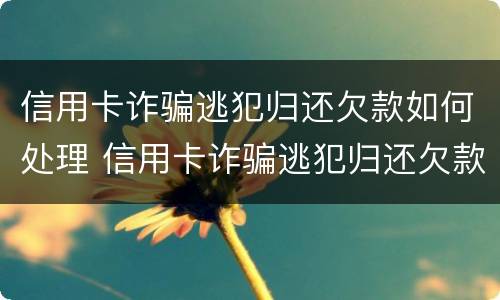 信用卡诈骗逃犯归还欠款如何处理 信用卡诈骗逃犯归还欠款如何处理好