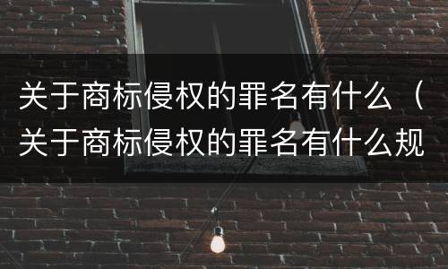 关于商标侵权的罪名有什么（关于商标侵权的罪名有什么规定）