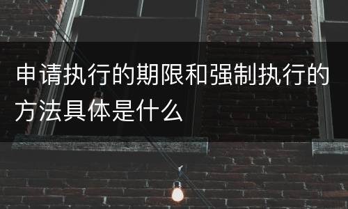 申请执行的期限和强制执行的方法具体是什么