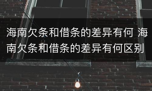 海南欠条和借条的差异有何 海南欠条和借条的差异有何区别呢
