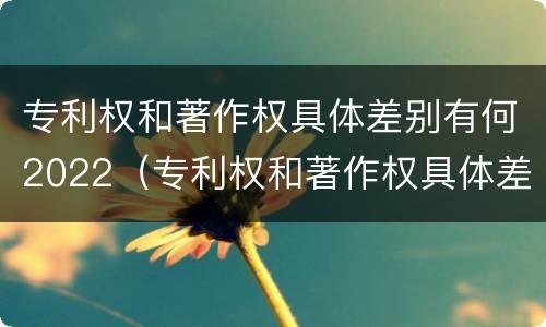 专利权和著作权具体差别有何2022（专利权和著作权具体差别有何2022年）