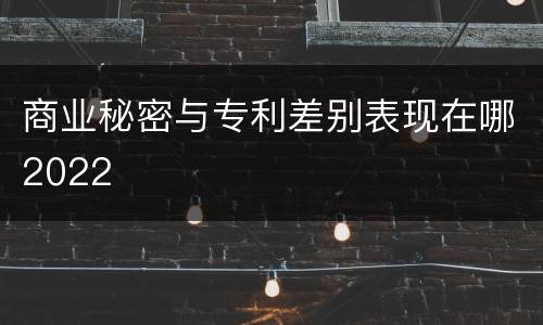 商业秘密与专利差别表现在哪2022