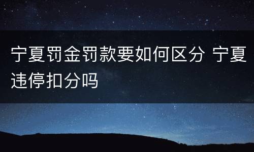 宁夏罚金罚款要如何区分 宁夏违停扣分吗