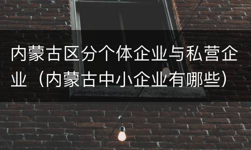 内蒙古区分个体企业与私营企业（内蒙古中小企业有哪些）