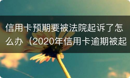 信用卡预期要被法院起诉了怎么办（2020年信用卡逾期被起诉立案后怎么解决）