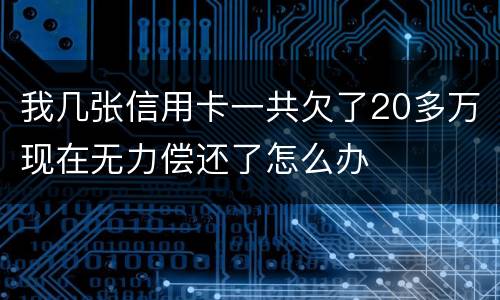 我几张信用卡一共欠了20多万现在无力偿还了怎么办