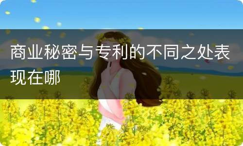 商业秘密与专利的不同之处表现在哪