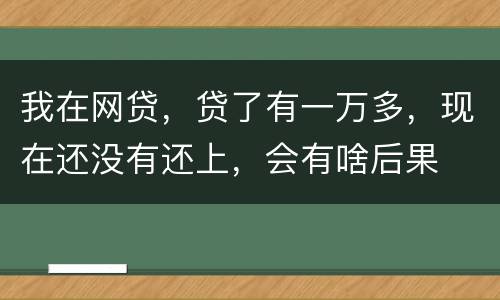 我在网贷，贷了有一万多，现在还没有还上，会有啥后果