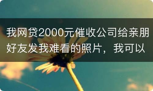 我网贷2000元催收公司给亲朋好友发我难看的照片，我可以维护吗