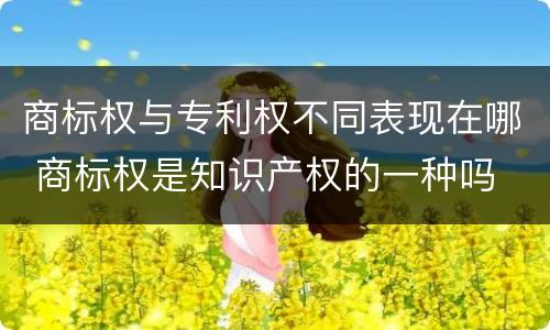 商标权与专利权不同表现在哪 商标权是知识产权的一种吗