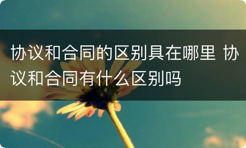 协议和合同的区别具在哪里 协议和合同有什么区别吗