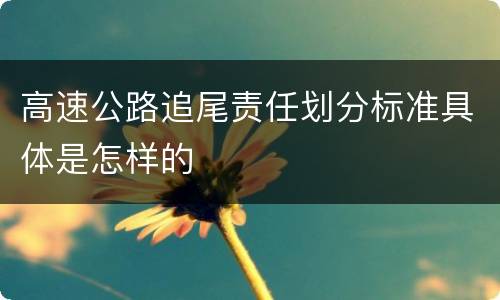 高速公路追尾责任划分标准具体是怎样的