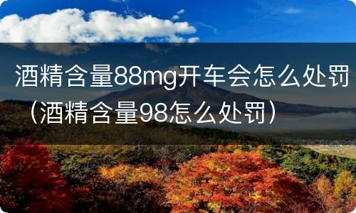 酒精含量88mg开车会怎么处罚（酒精含量98怎么处罚）
