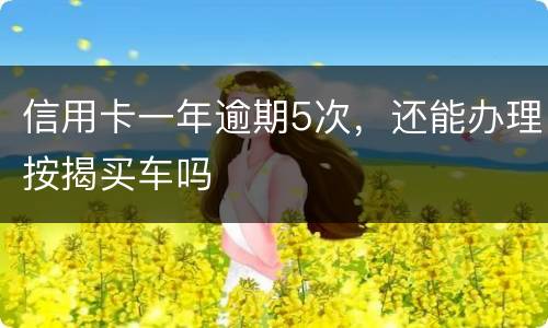 信用卡一年逾期5次，还能办理按揭买车吗