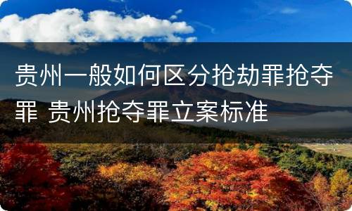 贵州一般如何区分抢劫罪抢夺罪 贵州抢夺罪立案标准
