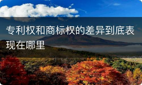 专利权和商标权的差异到底表现在哪里