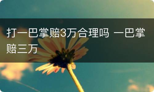 打一巴掌赔3万合理吗 一巴掌赔三万