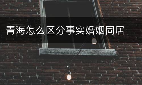 青海怎么区分事实婚姻同居