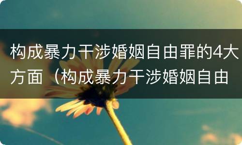 构成暴力干涉婚姻自由罪的4大方面（构成暴力干涉婚姻自由罪的4大方面包括）