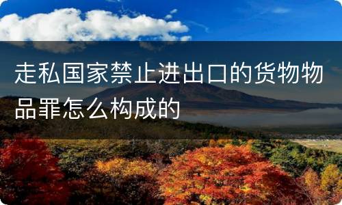 走私国家禁止进出口的货物物品罪怎么构成的