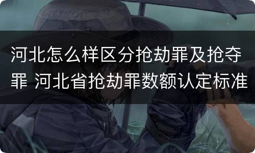 河北怎么样区分抢劫罪及抢夺罪 河北省抢劫罪数额认定标准