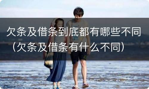 欠条及借条到底都有哪些不同（欠条及借条有什么不同）
