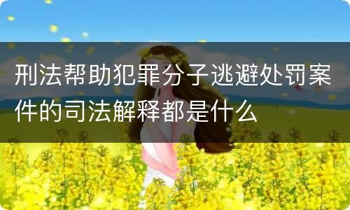 刑法帮助犯罪分子逃避处罚案件的司法解释都是什么