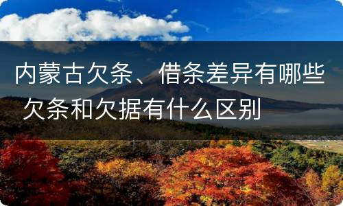 内蒙古欠条、借条差异有哪些 欠条和欠据有什么区别
