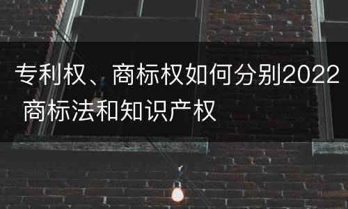 专利权、商标权如何分别2022 商标法和知识产权