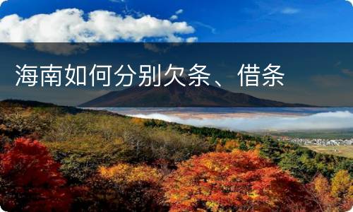 海南如何分别欠条、借条