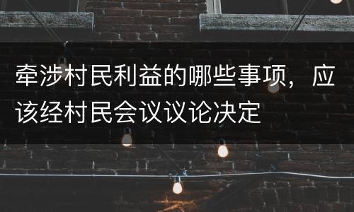 牵涉村民利益的哪些事项，应该经村民会议议论决定