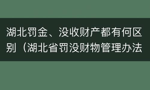 湖北罚金、没收财产都有何区别（湖北省罚没财物管理办法）