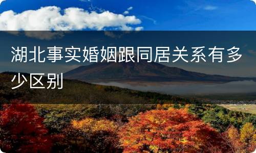 湖北事实婚姻跟同居关系有多少区别