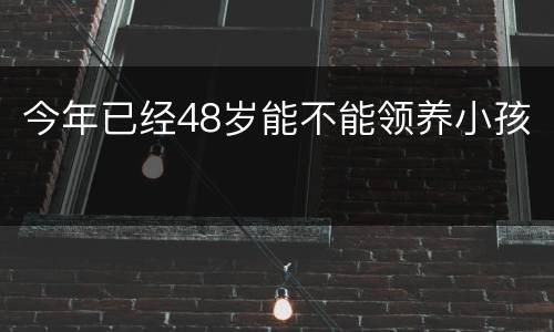 今年已经48岁能不能领养小孩