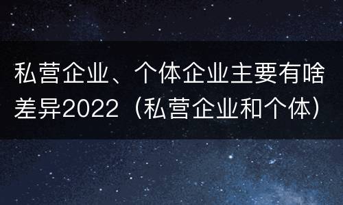 私营企业、个体企业主要有啥差异2022（私营企业和个体）
