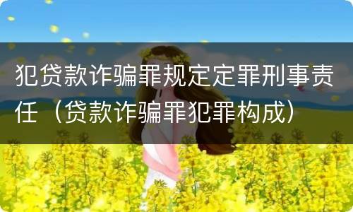 犯贷款诈骗罪规定定罪刑事责任（贷款诈骗罪犯罪构成）