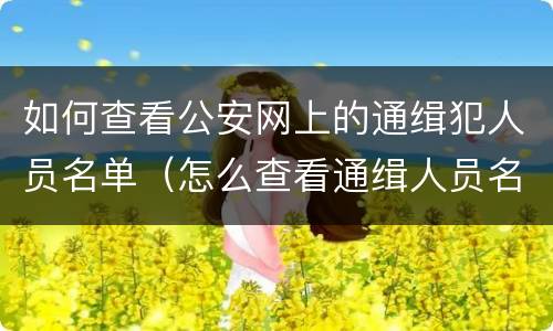 如何查看公安网上的通缉犯人员名单（怎么查看通缉人员名单）