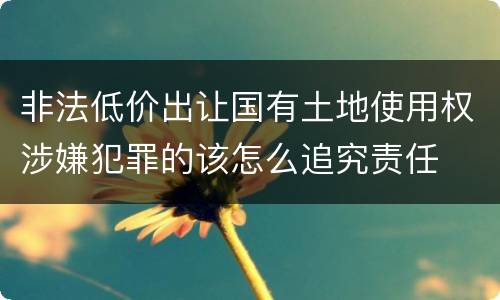 非法低价出让国有土地使用权涉嫌犯罪的该怎么追究责任