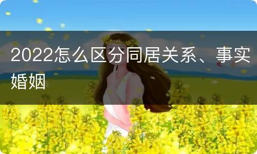 2022怎么区分同居关系、事实婚姻