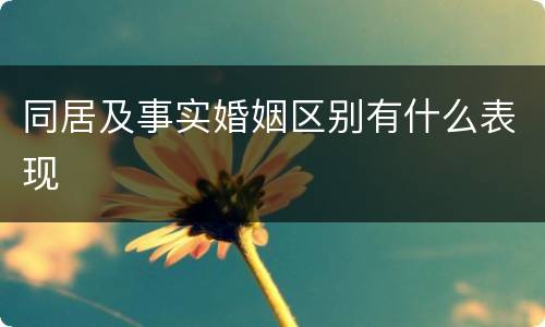 同居及事实婚姻区别有什么表现