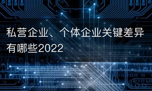 私营企业、个体企业关键差异有哪些2022