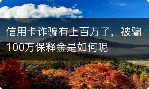 信用卡诈骗有上百万了，被骗100万保释金是如何呢