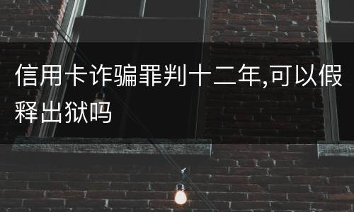 信用卡诈骗罪判十二年,可以假释出狱吗
